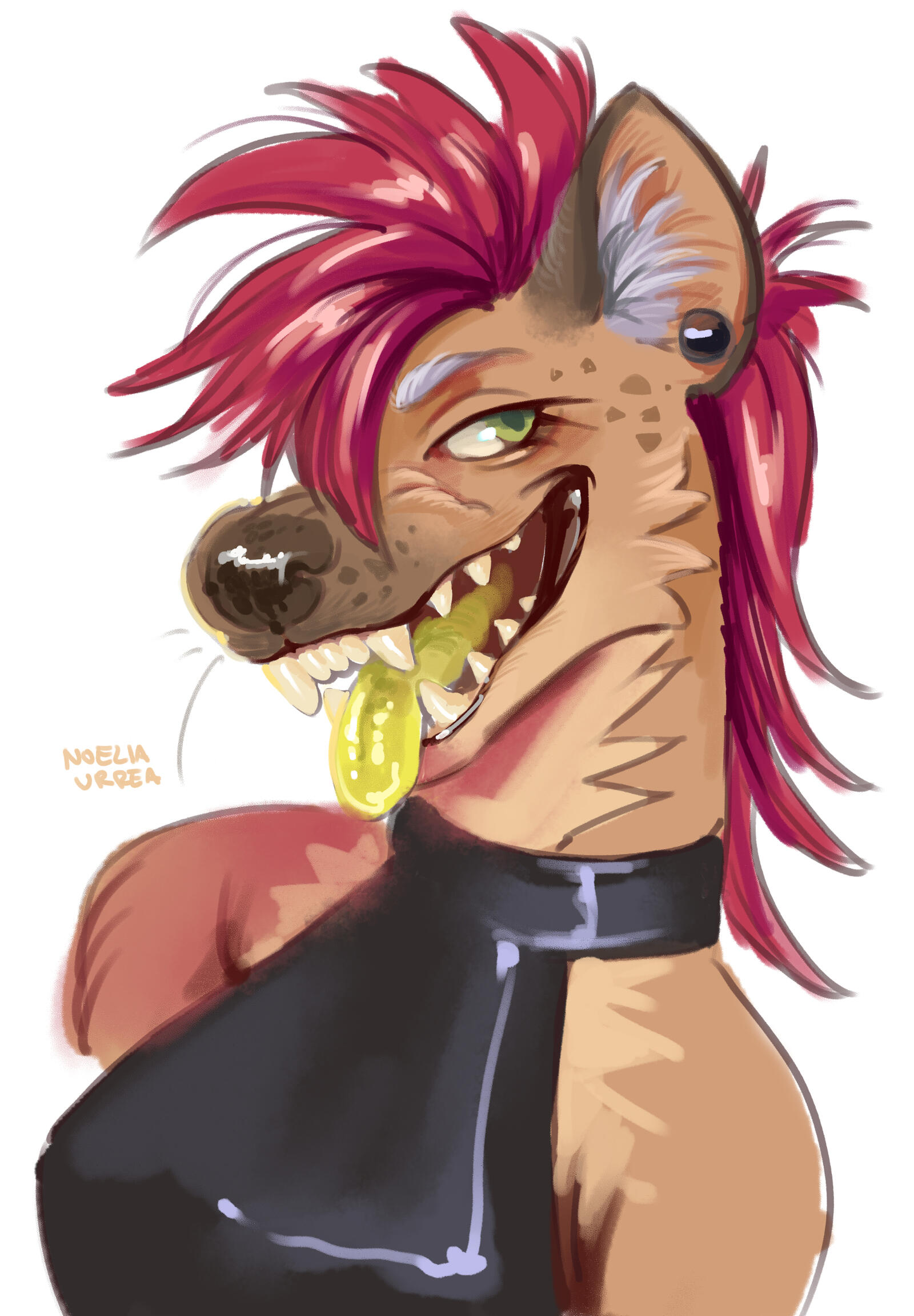 Cartoonish style and sketch with no background.